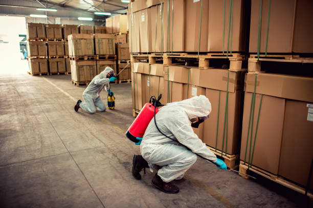 Best Pest Inspection Near Me  in Groveton, VA