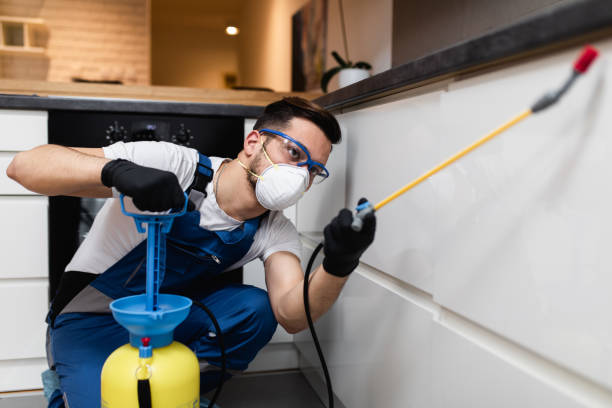 Professional Pest Control in Groveton, VA