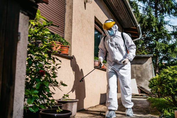 Best Pest Control for Restaurants  in Groveton, VA