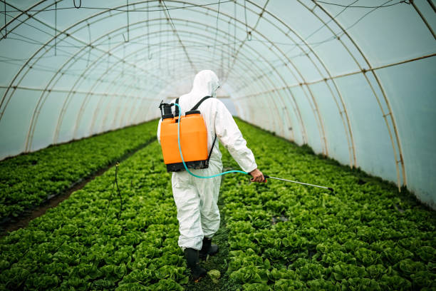 Best Residential Pest Control  in Groveton, VA