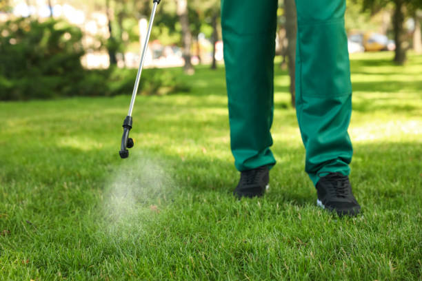 Pest Control for Restaurants in Groveton, VA