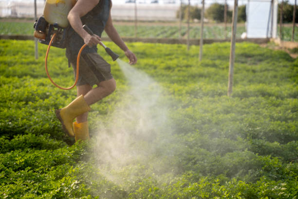 Best Pest Removal Services  in Groveton, VA