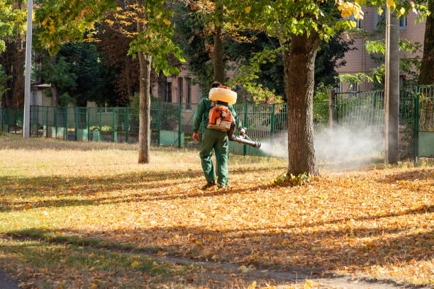 Best Best Pest Control Companies  in Groveton, VA