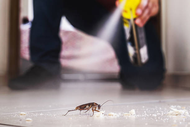 Best Bed Bug Extermination  in Groveton, VA