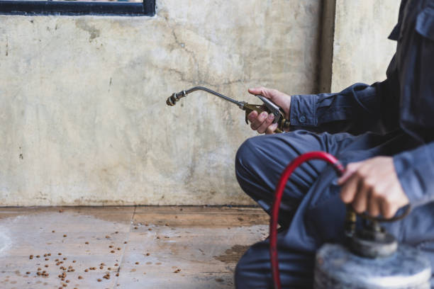 Best Exterminator Services  in Groveton, VA